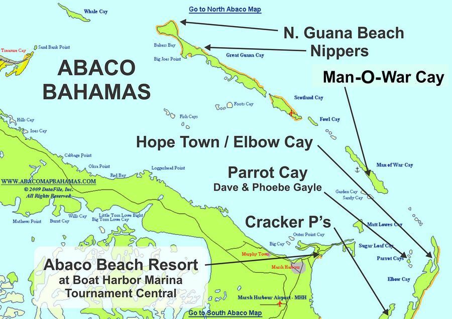 Click to See Next Image